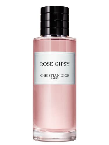 dior gipsy 2|christian dior rose gipsy.